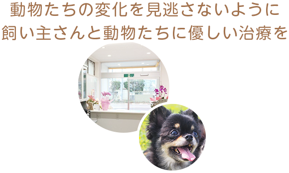 動物たちの変化を見逃さないように飼い主さんと動物たちに優しい治療を